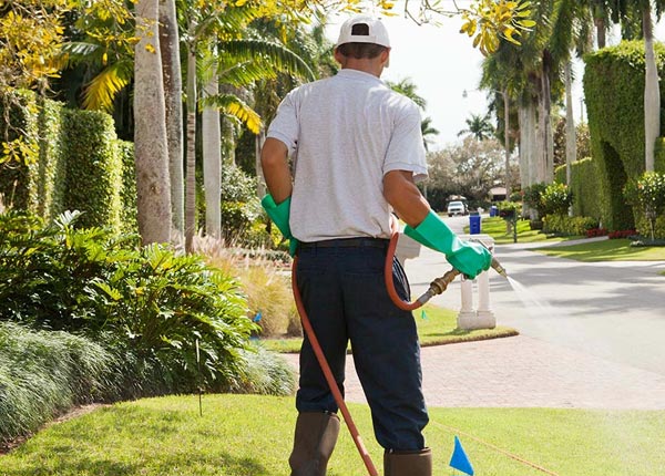 About Linda Vista Pest Control Pros
